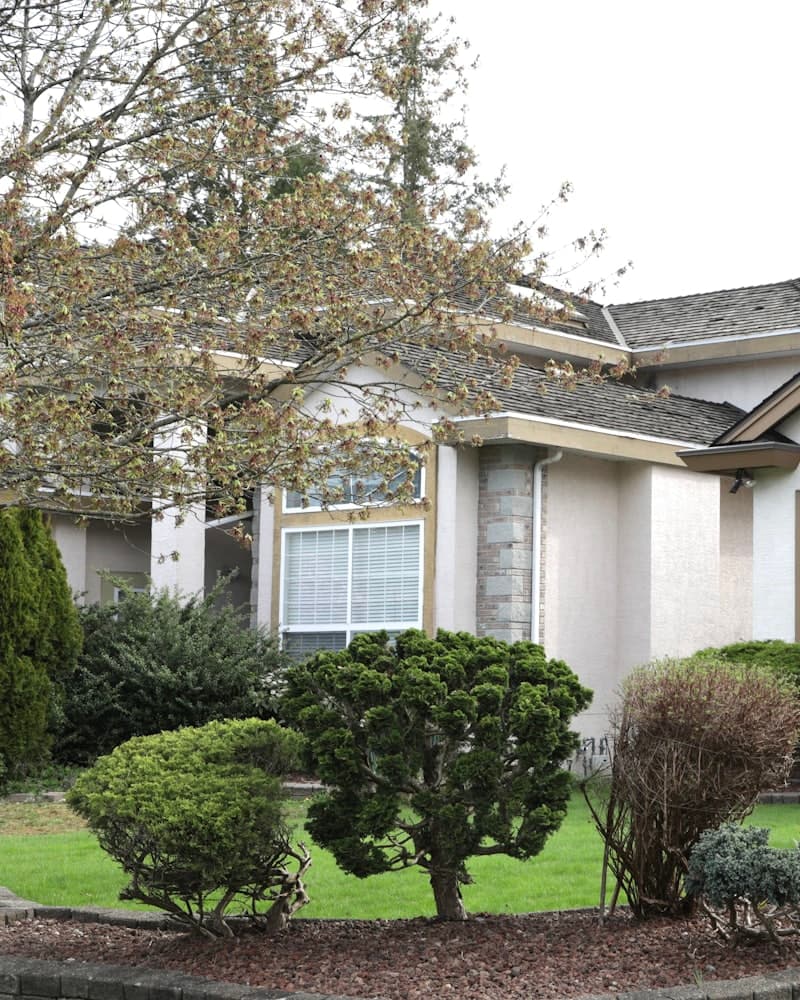 A landscaped front yard with trimmed shrubs and flowering plants
